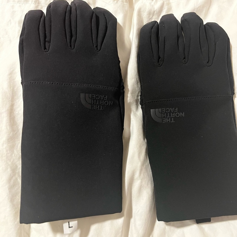 North face Ski Gloves